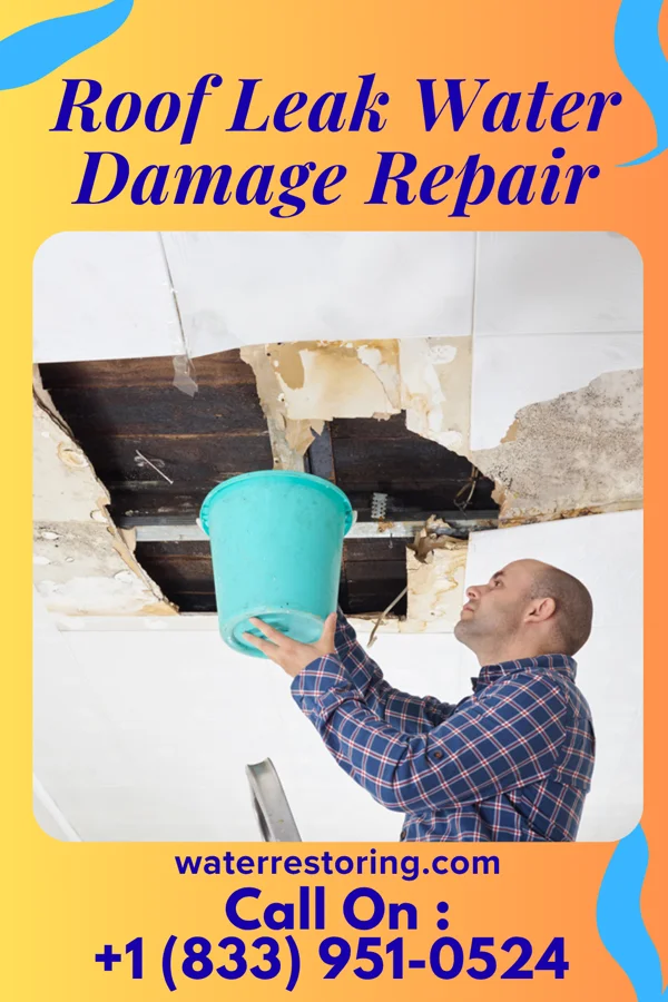 Roof Leak Water Damage Repair in Burlingame, KS